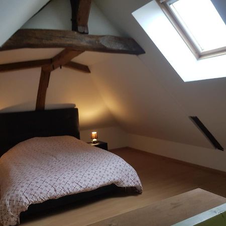 הוילה Beaulieu-sur-Loire Chez Laiko Wifi Gratuit מראה חיצוני תמונה